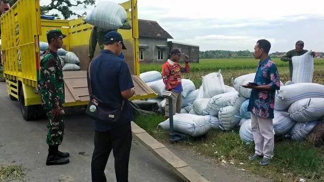 Hadapi Puncak Panen, Bulog Kediri Realisasikan Penyerapan Gabah Petani Terbesar pada Jatim