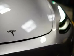 Penjualan Tesla Anjlok 49% di tempat Eropa Saat Pasar Mobil Listrik Tumbuh, Apa Penyebabnya?