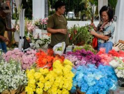 Hari Mawar: Kenali makna dari warna bunga rupawan yang digunakan beragam