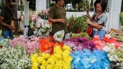 Hari Mawar: Kenali makna dari warna bunga rupawan yang digunakan digunakan beragam