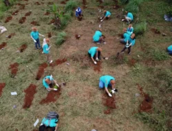 710 Ton Karbon vs 6.250 Pohon pada Bogor: Siapa Pemenangnya? Ini adalah Fakta Penyerapan Karbon yang tersebut Bikin Melongo