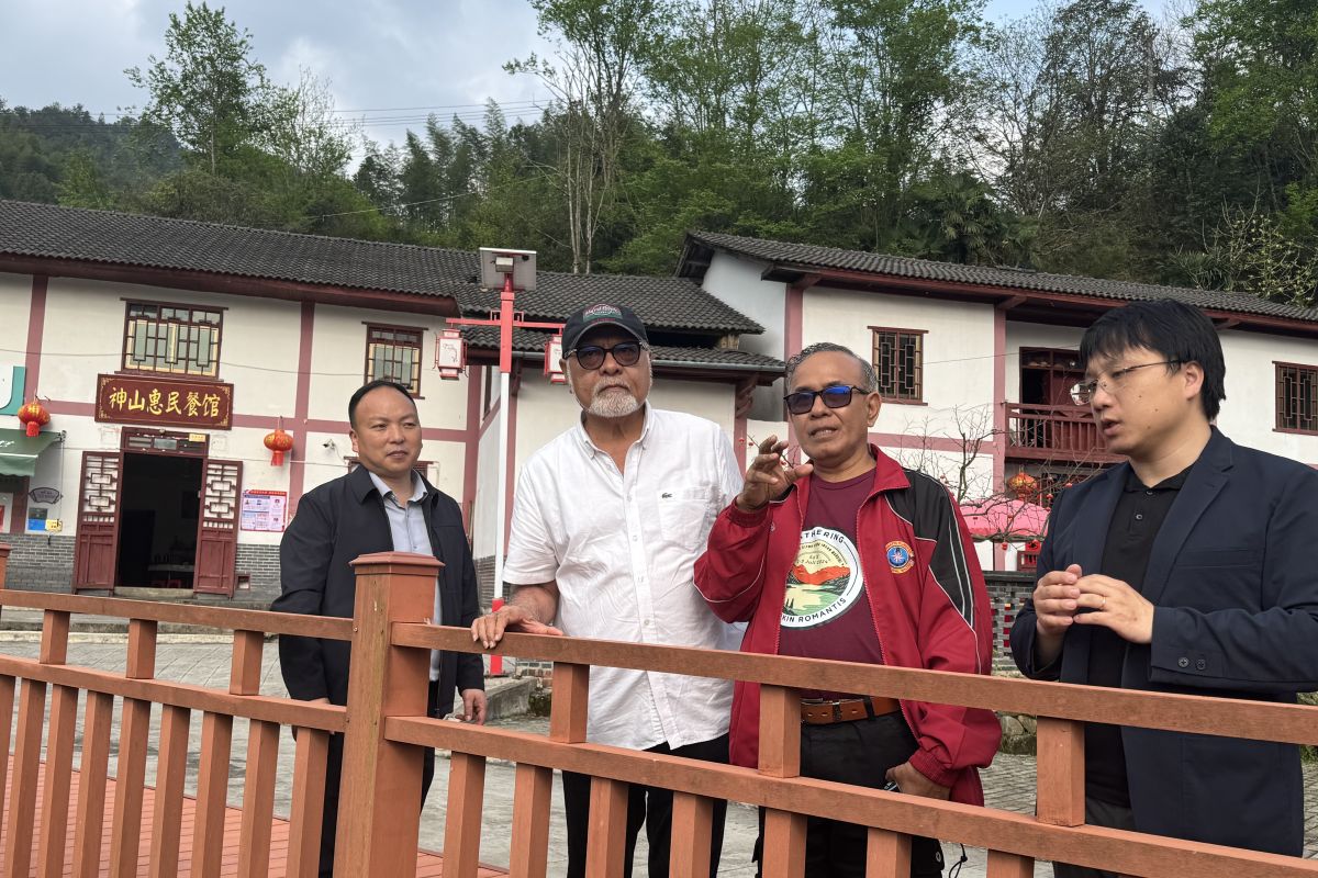Anggota DPD RI puji pencapaian revitalisasi pedesaan pada China