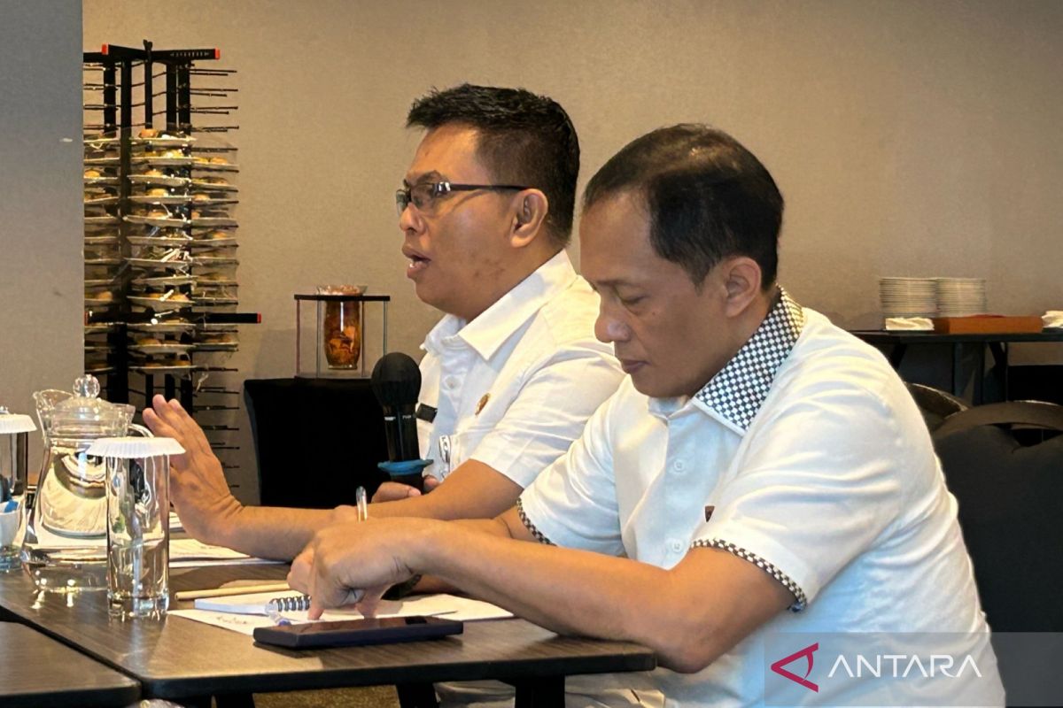 Bapanas: Proyek SPHP fokus di wilayah dengan tarif beras di menghadapi HET