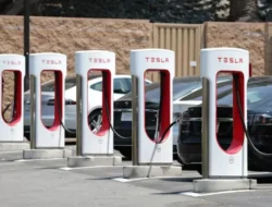 Aksi Anti Tesla Meluas, Security Pemilik juga Karyawan Semakin Terancam