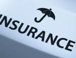 Dibalik Anjloknya Bursa, Ada Saham Valuasi Murah kemudian Royal Bagi-bagi Dividen