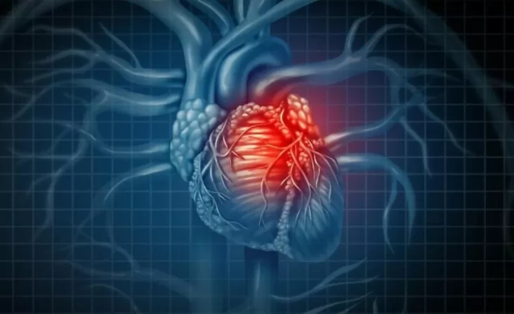 Dokter Temukan Jantung Kedua pada Tubuh Orang