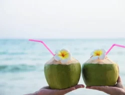 Minum Air Kelapa, Pria Ini adalah Terinfeksi Jamur Mematikan lalu Meninggal Akibat Kerusakan Otak