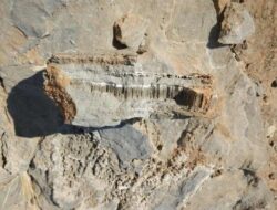 Terowongan Buatan Makhluk Misterius Ditemukan di dalam Bawah Tanah Afrika