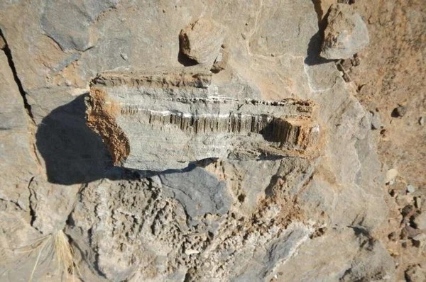 Terowongan Buatan Makhluk Misterius Ditemukan di area di Bawah Tanah Afrika