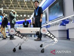 Pendapatan bidang digital China naik 9,4 persen pada Q1 2025