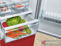 Sederet makanan yang dimaksud sebaiknya tak disimpan ke “freezer”