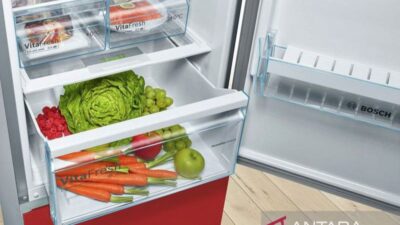 Sederet makanan yang dimaksud sebaiknya tak disimpan ke “freezer”