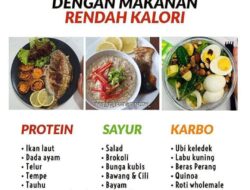 Rekomendasi Makanan Sehat Rendah Kalori untuk Gaya Hidup Seimbang