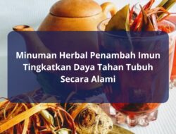 Minuman Herbal Penambah Imun Tingkatkan Daya Tahan Tubuh Secara Alami