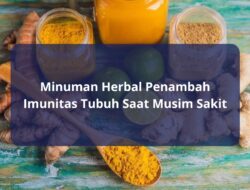 Minuman Herbal Penambah Imunitas Tubuh Saat Musim Sakit