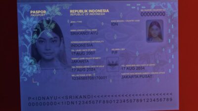 Paspor Terkuat ASEAN 2025, Indonesi Kalah dari Timor Leste