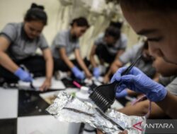 Mengenal bonus demografi, kegunaan juga tantangannya