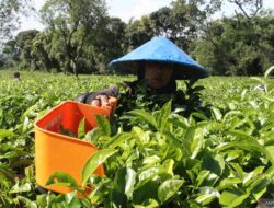 Perbedaan karyawan serta buruh: Definisi, hak, juga status pekerjaan