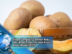 Siapa Sangka? Camilan Beku dari Buah Tropis Ini Jadi Kunci Awet Muda 2025