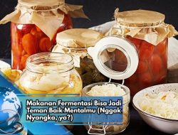 Makanan Fermentasi Bisa Jadi Teman Baik Mentalmu (Nggak Nyangka, ya?)