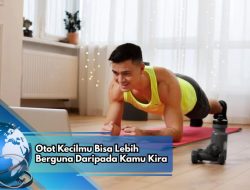 Otot Kecilmu Bisa Lebih Berguna Daripada Kamu Kira