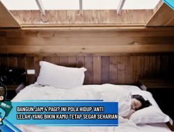 Bangun Jam 4 Pagi? Ini Pola Hidup ‘Anti Lelah’ yang Bikin Kamu Tetap Segar Seharian