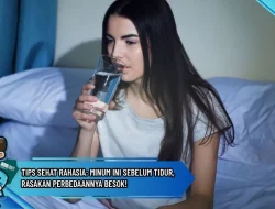 Tips Sehat Rahasia: Minum Ini Sebelum Tidur, Rasakan Perbedaannya Besok!