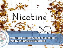 Detoks Nikotin Cerdas: Panduan 7 Hari Mengusir Racun dan Mendapatkan Energi Penuh