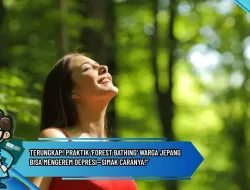 Terungkap! Praktik ‘Forest Bathing’ Warga Jepang Bisa Mengerem Depresi—Simak Caranya!”