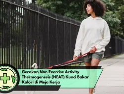Gerakan Non Exercise Activity Thermogenesis (NEAT) Kunci Bakar Kalori di Meja Kerja