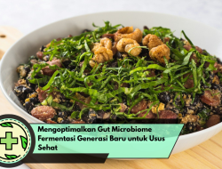 Mengoptimalkan Gut Microbiome Fermentasi Generasi Baru untuk Usus Sehat