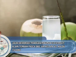 Jauhi Dehidrasi! Panduan Minuman Elektrolit Alami Terbaik Pasca DBD: Air Kelapa vs. Kaldu Tulang