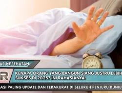 Kenapa Orang yang Bangun Siang Justru Lebih Sukses di 2025? Ini Rahasianya!