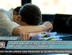 Tidur 4 Jam Tapi Tetap Segar? Ternyata Ini Pola Baru yang Lagi Diuji Ilmuwan!