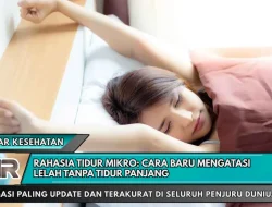 Rahasia Tidur Mikro: Cara Baru Mengatasi Lelah Tanpa Tidur Panjang