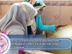 Revolusi Kebersihan Dapur dan Kamar Mandi: Membongkar Sumber Jentik DBD yang Sering Terabaikan