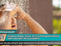 Kenapa Orang Sehat 2025 Rutin Mandi Dingin Jam 9 Malam? Ini Alasannya