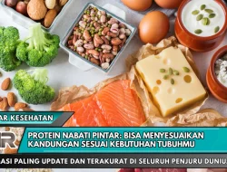 Protein Nabati Pintar: Bisa Menyesuaikan Kandungan Sesuai Kebutuhan Tubuhmu
