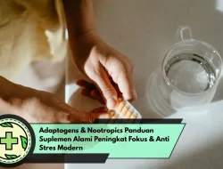 Adaptogens & Nootropics Panduan Suplemen Alami Peningkat Fokus & Anti Stres Modern