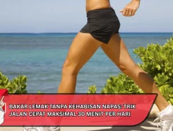 Bakar Lemak Tanpa Kehabisan Napas: Trik Jalan Cepat Maksimal 30 Menit per Hari