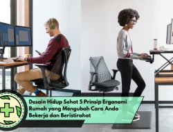 Desain Hidup Sehat 5 Prinsip Ergonomi Rumah yang Mengubah Cara Anda Bekerja dan Beristirahat