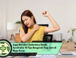Jaga Diri dari Sedentary Death Syndrome 10 Tips Bergerak Tiap Jam di Meja Kerja