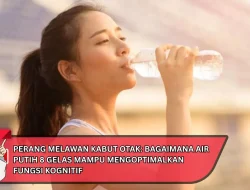 Perang Melawan Kabut Otak: Bagaimana Air Putih 8 Gelas Mampu Mengoptimalkan Fungsi Kognitif
