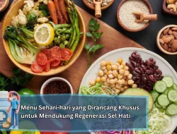 Menu Sehari-hari yang Dirancang Khusus untuk Mendukung Regenerasi Sel Hati