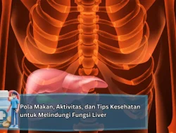 Pola Makan, Aktivitas, dan Tips Kesehatan untuk Melindungi Fungsi Liver