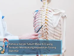 Rahasia Gerak Tubuh Masa Kini yang Terbukti Mendukung Kepadatan Tulang Optimal