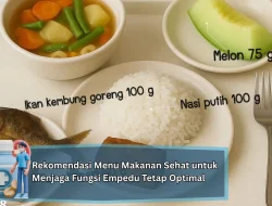 Rekomendasi Menu Makanan Sehat untuk Menjaga Fungsi Empedu Tetap Optimal