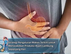 Strategi Pengaturan Makan Terkini untuk Menstabilkan Produksi Asam Lambung Sepanjang Hari
