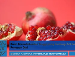 Buah Berantioksidan Tinggi yang Lindungi Sel dari Penuaan Dini