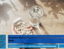 Creatine Bukan Hanya untuk Gym, Baik Juga untuk Otak